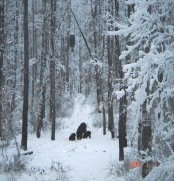 Felszerelési tanácsok